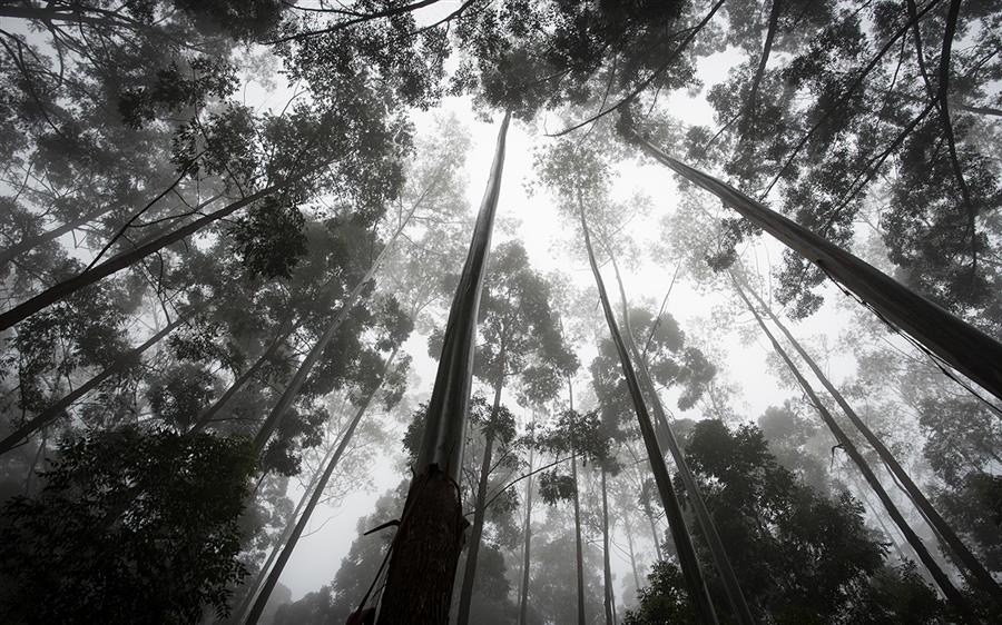 人生路不可能一帆风顺