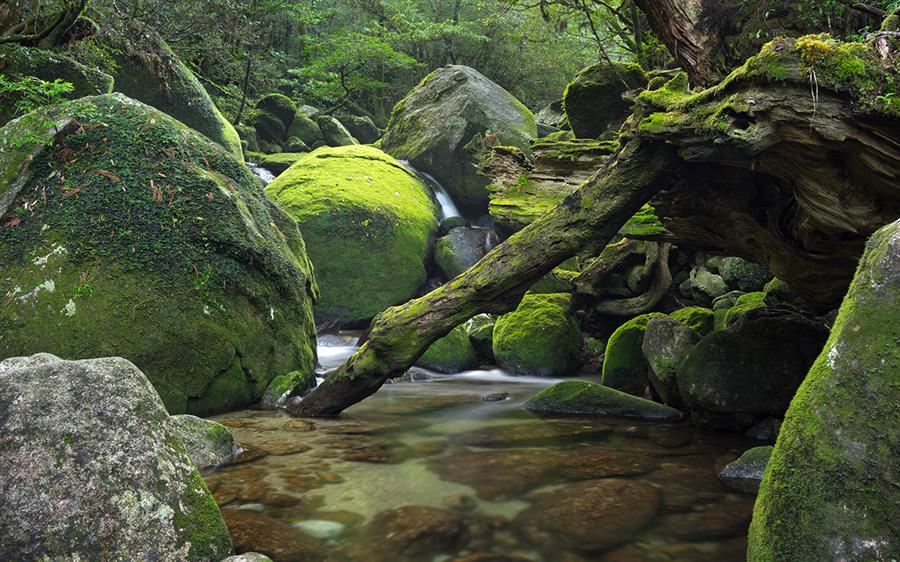 我们能够完全地认识自己吗